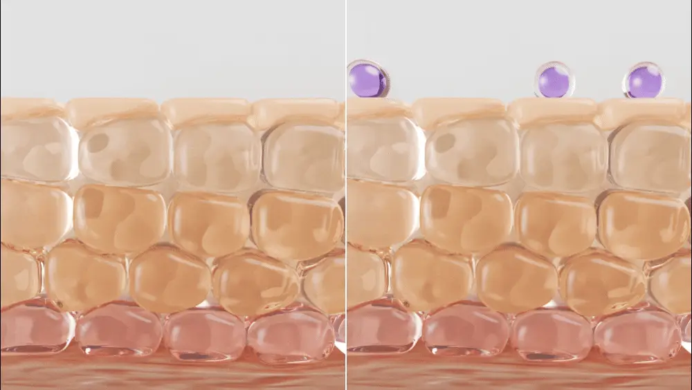 [포켓몬 에디션/잡티미백]성분에디터 머루포도 비타씨 다크 스팟 앰플 40ml 더블기획* 상세페이지 59